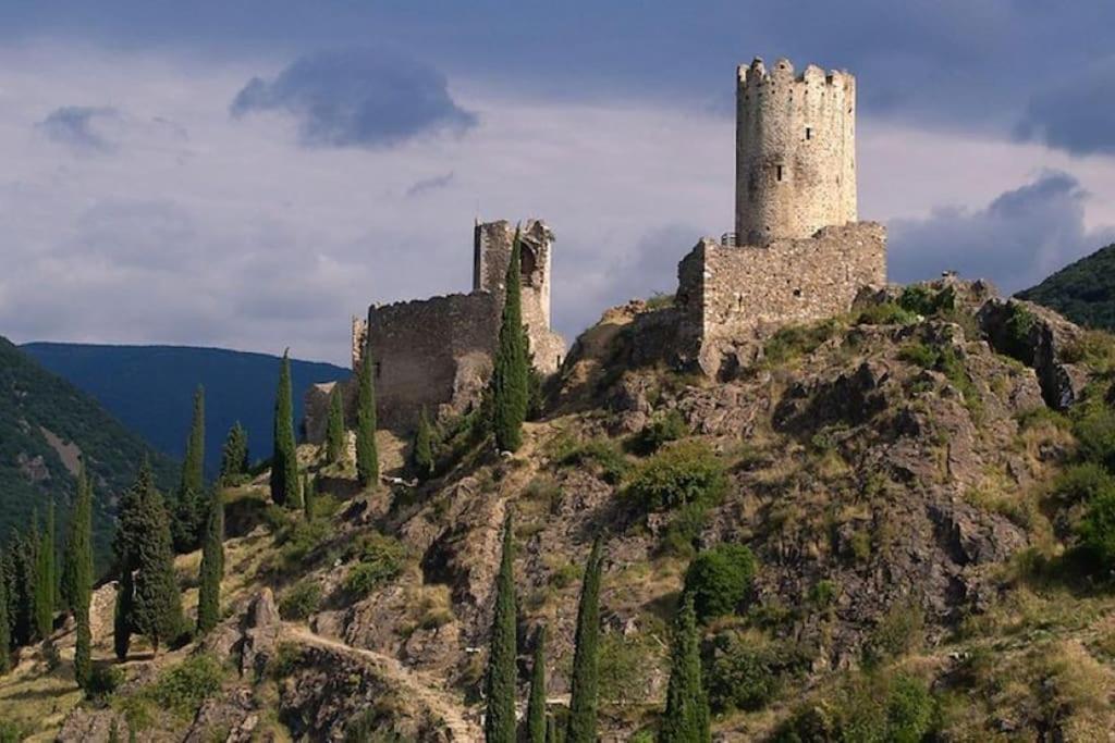 Maison Sur Les Hauteurs De Καρκασόν Εξωτερικό φωτογραφία